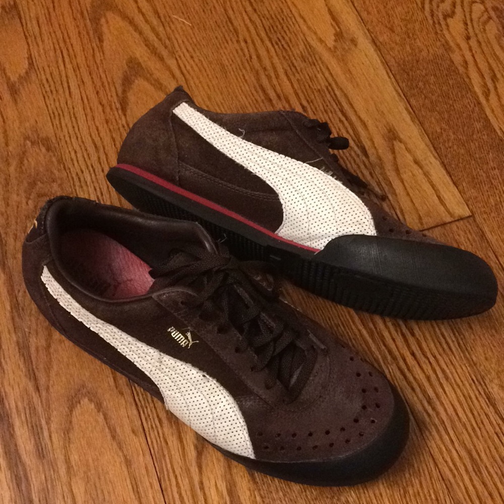 Pumas - RARE